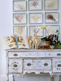 Cottage living Inspirations, corals on top of dresser