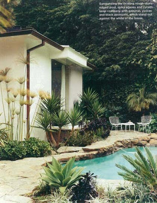 lush small garden space inpirations with rustic looking swimming pool