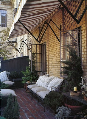 nyc garden with striped awning and small pine trees
