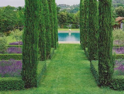 French formal garden style with pool