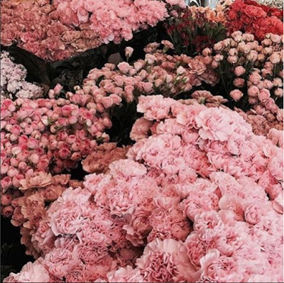 Chelsea Flower Show 2017 pink flowers via belle vivir blog