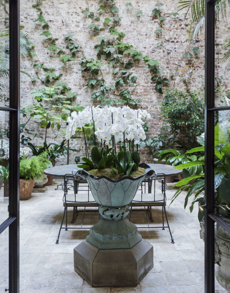 rose-uniacke-conservatory-indoor-garden-