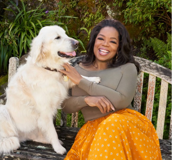 Oprah Winfrey's Rose Garden: A spiritual Oasis |