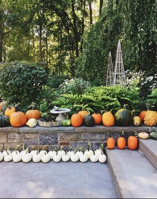 fall activities for family, fall decor