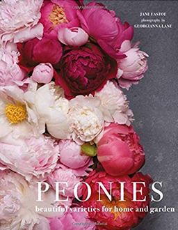 peonies: beautiful varieties for home and garden