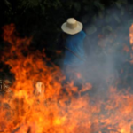 The Amazon is burning:  what we can do