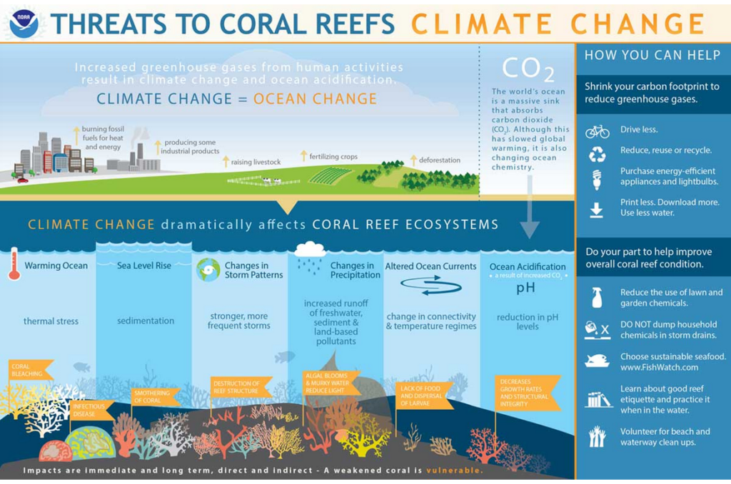 Climate change, ocean change