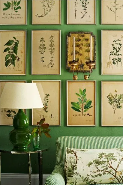 botanical art on green wall