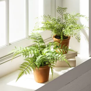 6 things to do at home to welcome spring, potted herbs
