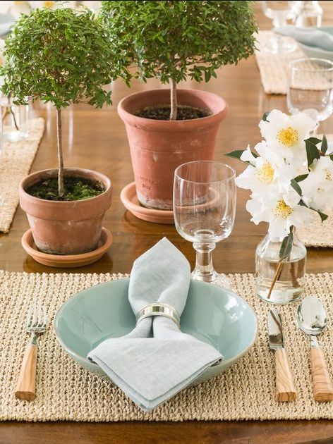 stylish environmental acts, cloth napkin on table setting