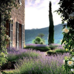 If You Like Gardens; These Are The Instagram Accounts You Should Follow